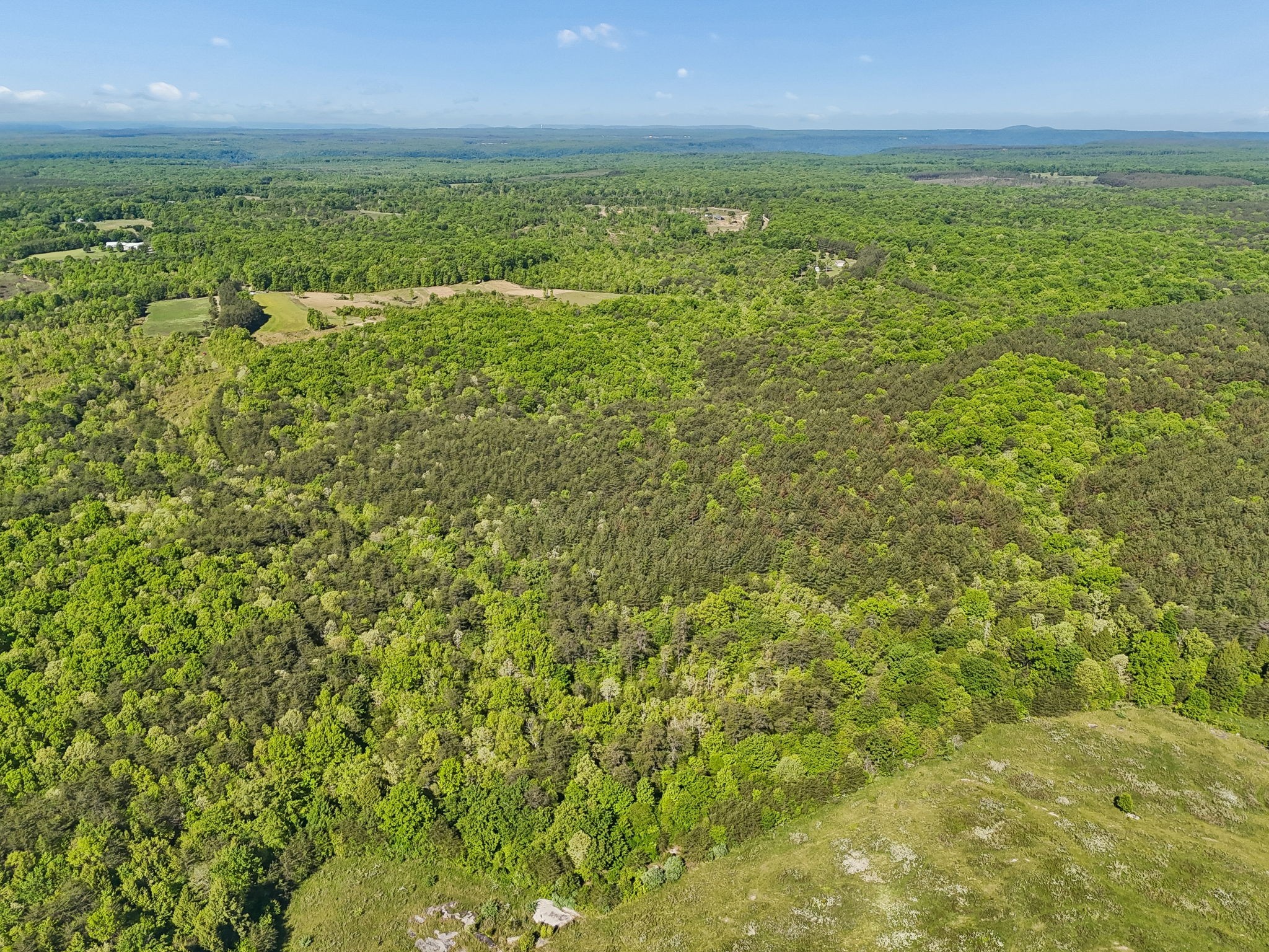 0 Whitetail Ridge Drive Spencer, TN 38585 - Photo 11 of 23