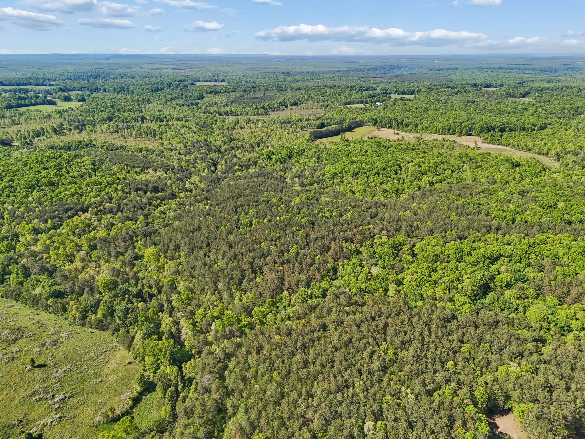0 Whitetail Ridge Drive Spencer, TN 38585 - Photo 13 of 23