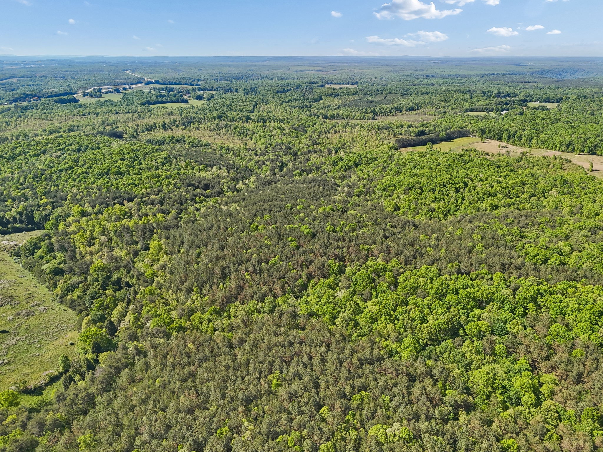 0 Whitetail Ridge Drive Spencer, TN 38585 - Photo 14 of 23