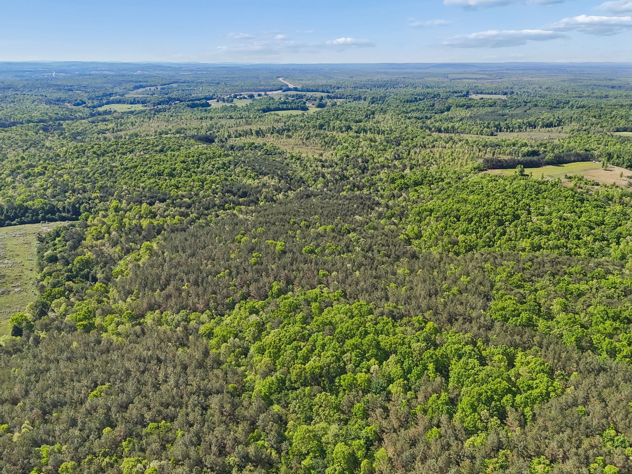 0 Whitetail Ridge Drive Spencer, TN 38585 - Photo 15 of 23