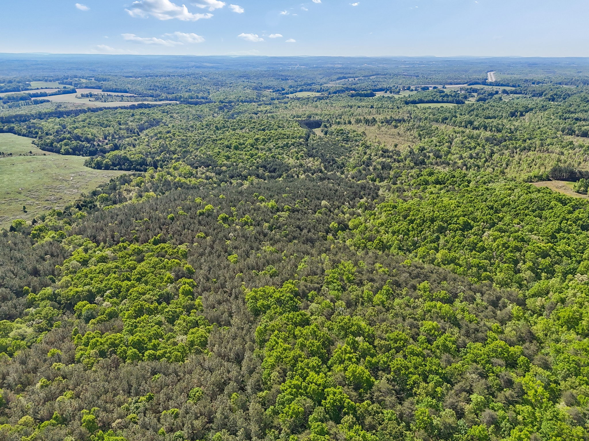 0 Whitetail Ridge Drive Spencer, TN 38585 - Photo 17 of 23