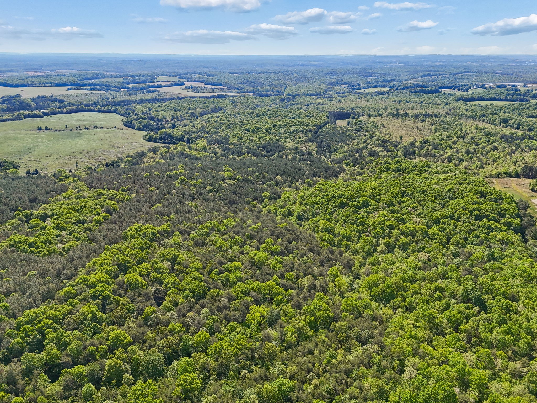 0 Whitetail Ridge Drive Spencer, TN 38585 - Photo 18 of 23