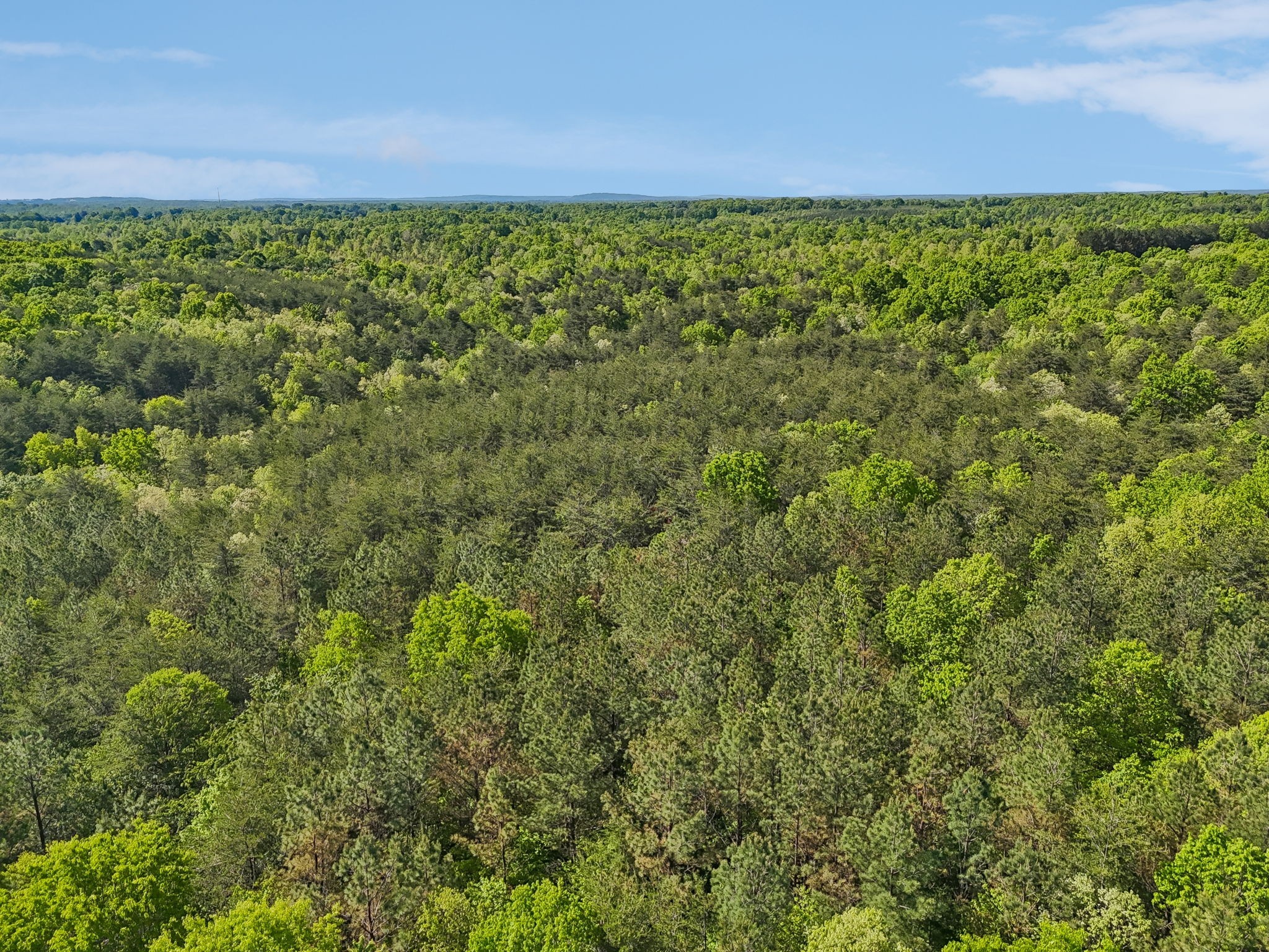 0 Whitetail Ridge Drive Spencer, TN 38585 - Photo 21 of 23