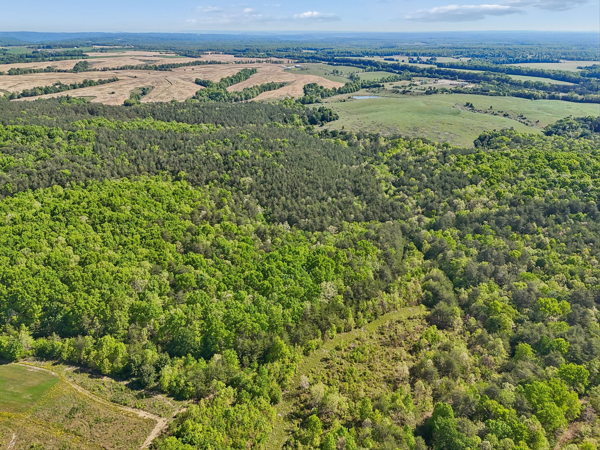 0 Whitetail Ridge Drive Spencer, TN 38585 - Photo 7 of 23