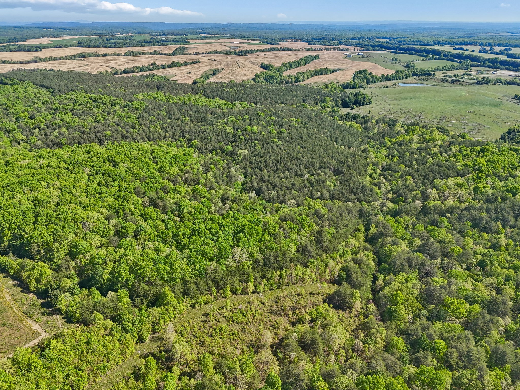 0 Whitetail Ridge Drive Spencer, TN 38585 - Photo 8 of 23