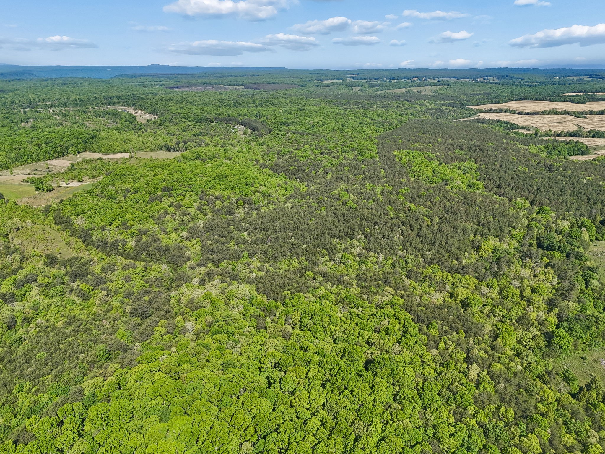 0 Whitetail Ridge Drive Spencer, TN 38585 - Photo 10 of 23