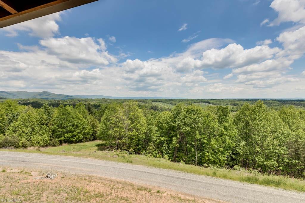 223 Cabin Ridge Trail Mount Airy, NC 27030 - Photo 28 of 30 Gallery Image 28