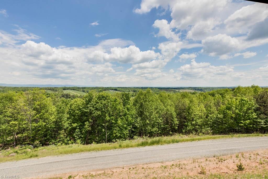 223 Cabin Ridge Trail Mount Airy, NC 27030 - Photo 29 of 30 Gallery Image 29