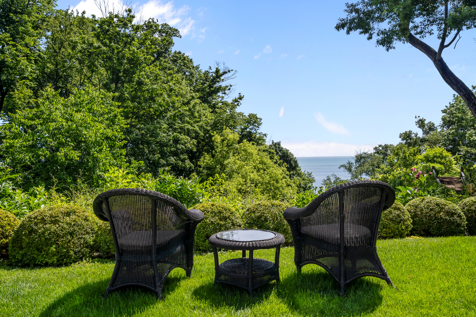 699 Bluff Road Lake Bluff, IL 60044 - Photo 4 of 36