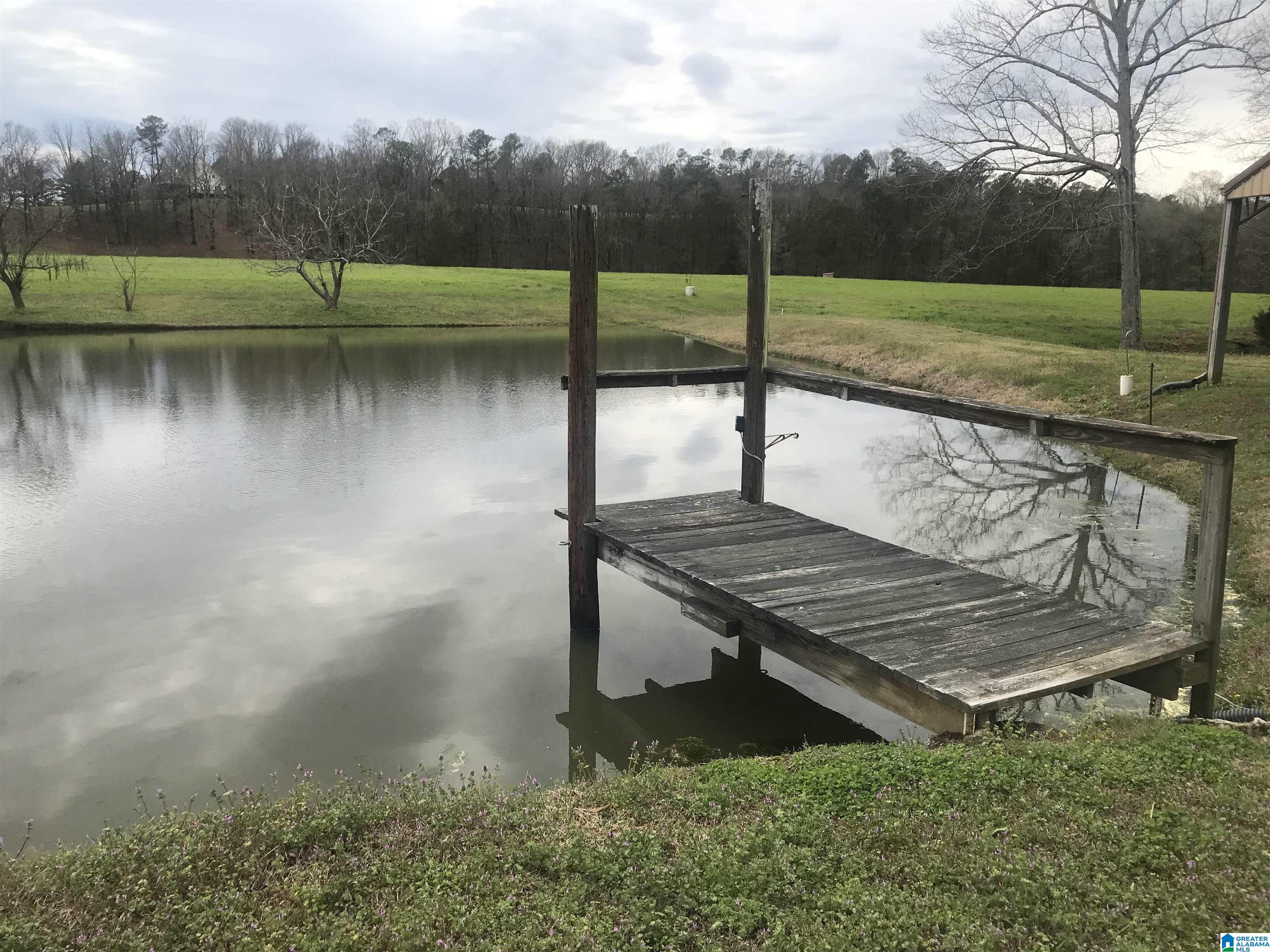 33195 Highway 79 Cleveland, AL 35049 - Photo 15 of 57