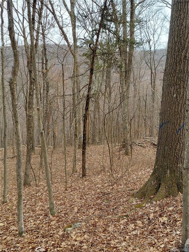 489 Grape Hollow Road Holmes, NY 12531 - Photo 10 of 24 Gallery Image 10