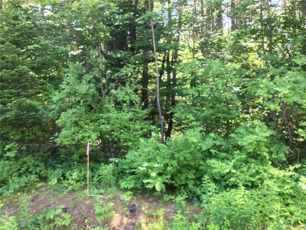 Lot A Sand Pond Road Hollis Center, ME 04042 - Photo 3 of 7 Photo