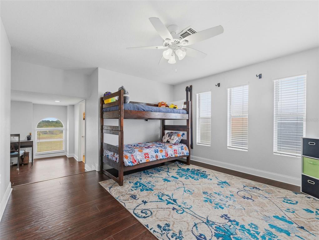 5551 Jobeth Drive New Port Richey, FL 34652 - Photo 37 of 46