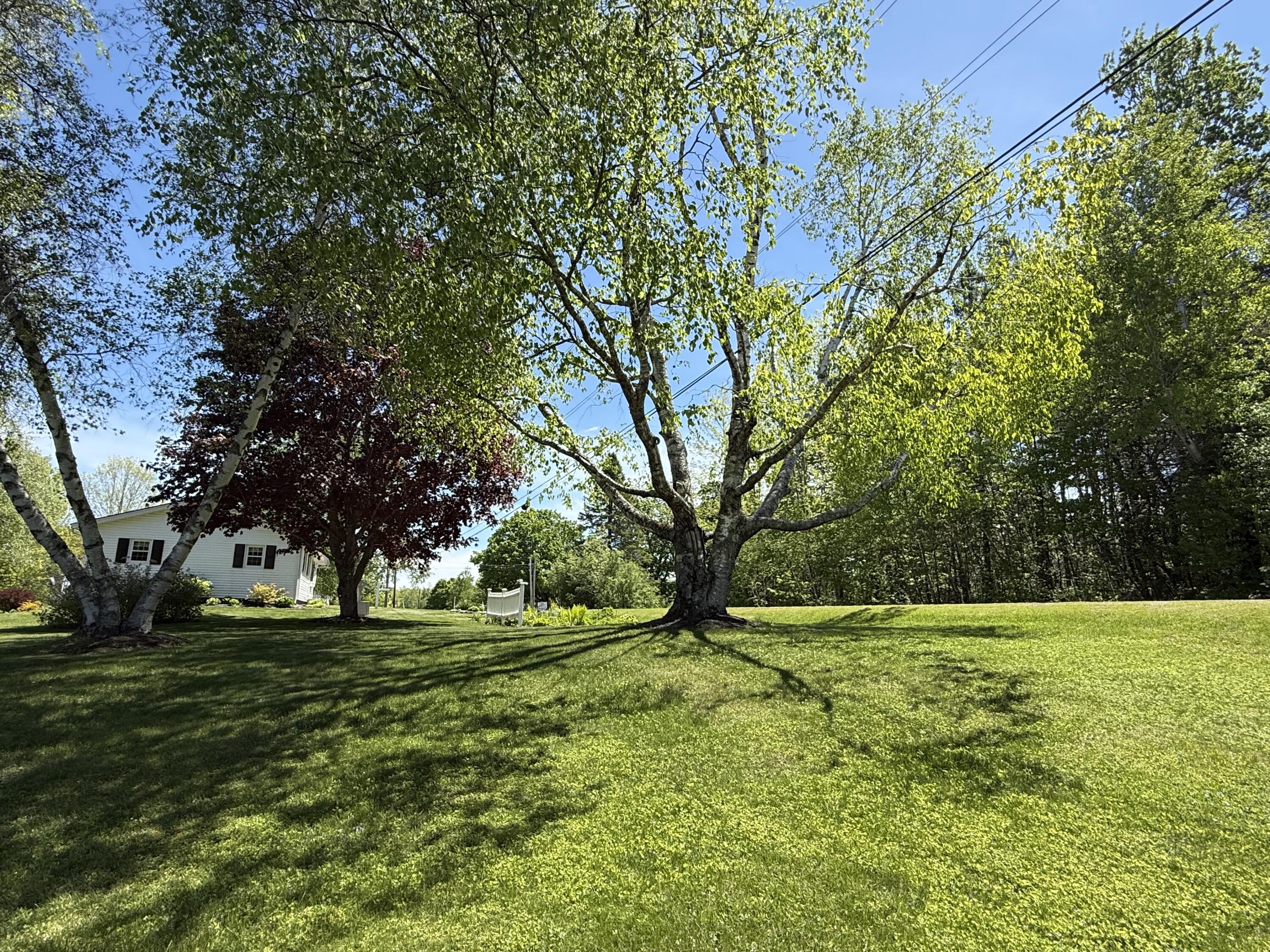 215 South Oakfield Road Linneus, ME 04730 - Photo 31 of 46 IMG_2289