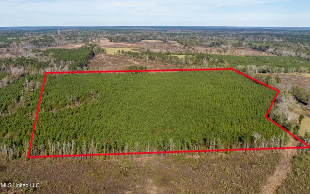 $103,600 | 0 South C Road 131, Morton, MS 39117