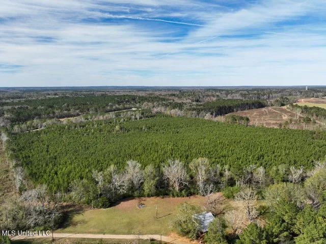$103,600 | 0 South C Road 131, Morton, MS 39117