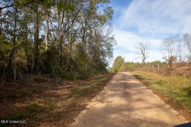 $103,600 | 0 South C Road 131, Morton, MS 39117