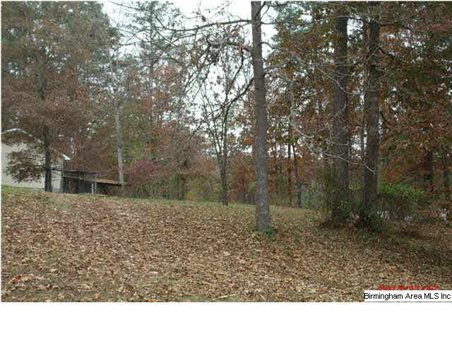 2031 Mark Green Road Jacksonville, AL 36265 - Photo 14 of 14