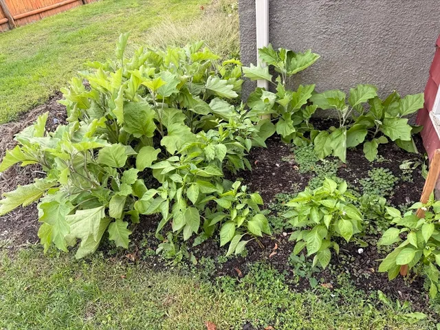 a kitchen with a stove and white cabinets