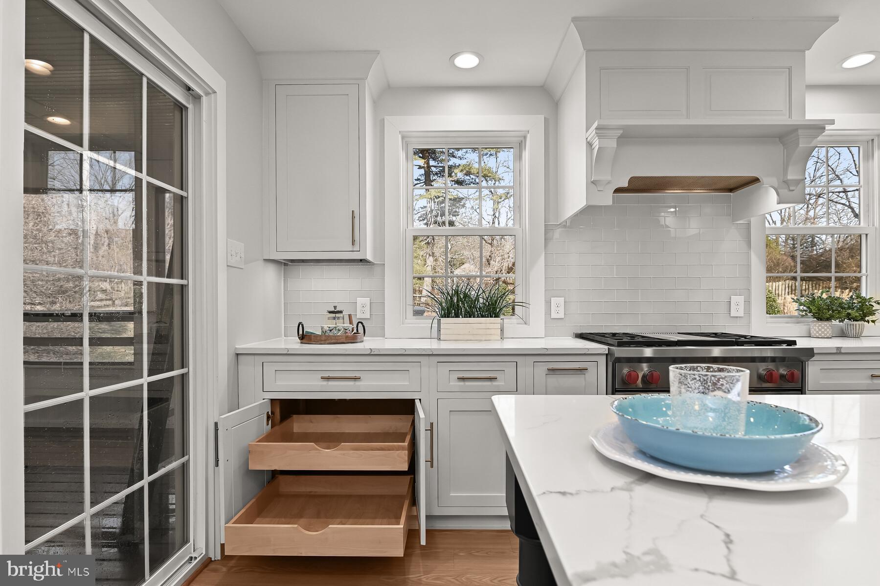 5029 Ten Mills Road Columbia, MD 21044 - Photo 12 of 49 Roll out shelving