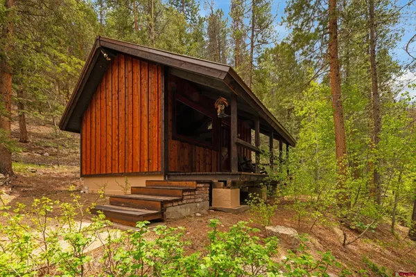 a view of yard with trees