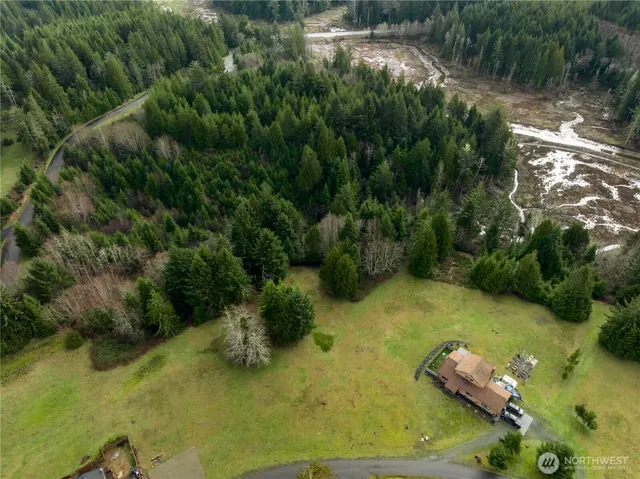 a view of a forest with a lake view