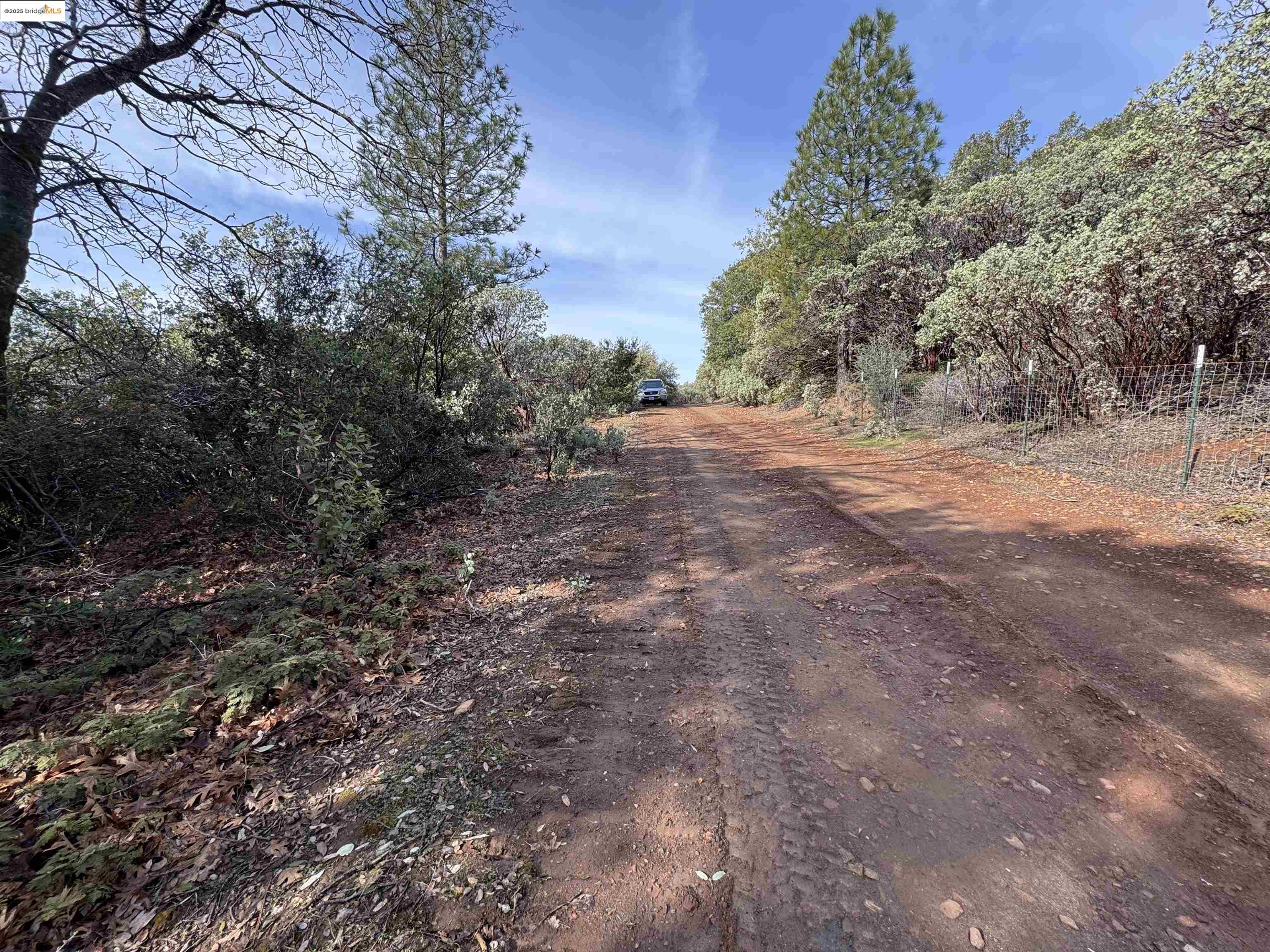 25555 Grant Ridge Road Columbia, CA 95310 - Photo 13 of 13 a view of dirt yard with large trees