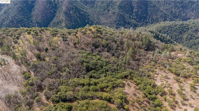 a view of a dry yard with trees