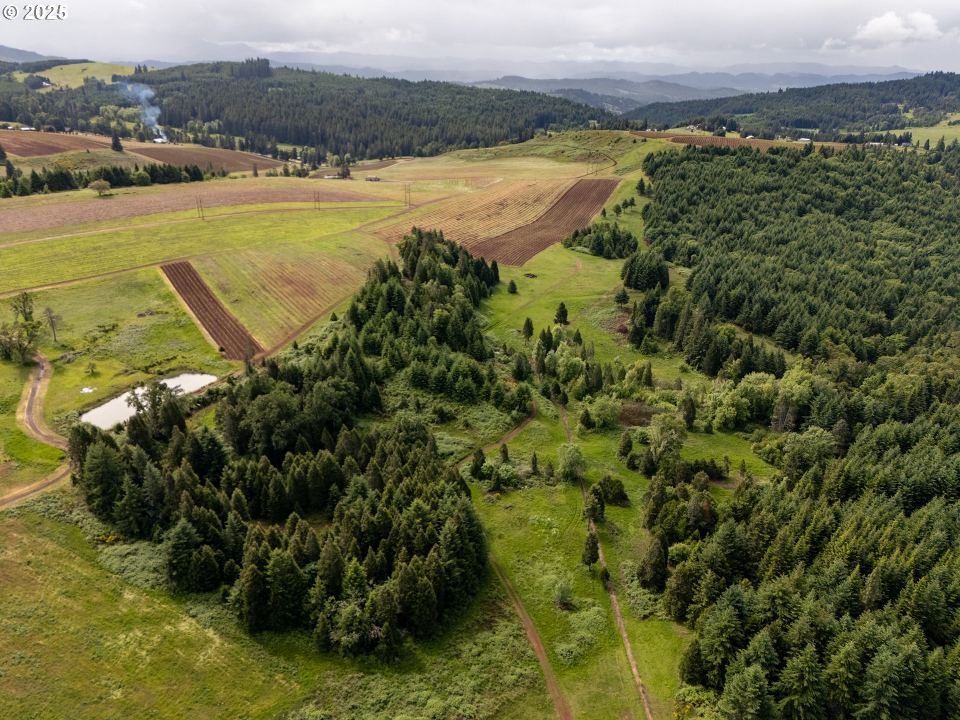 1066 Red Hill Road Oakland, OR 97462 - Photo 21 of 48