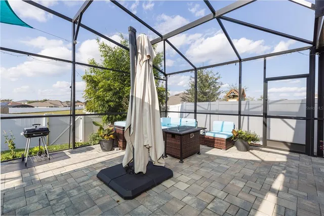 a view of tall trees with a potted plant in front of it