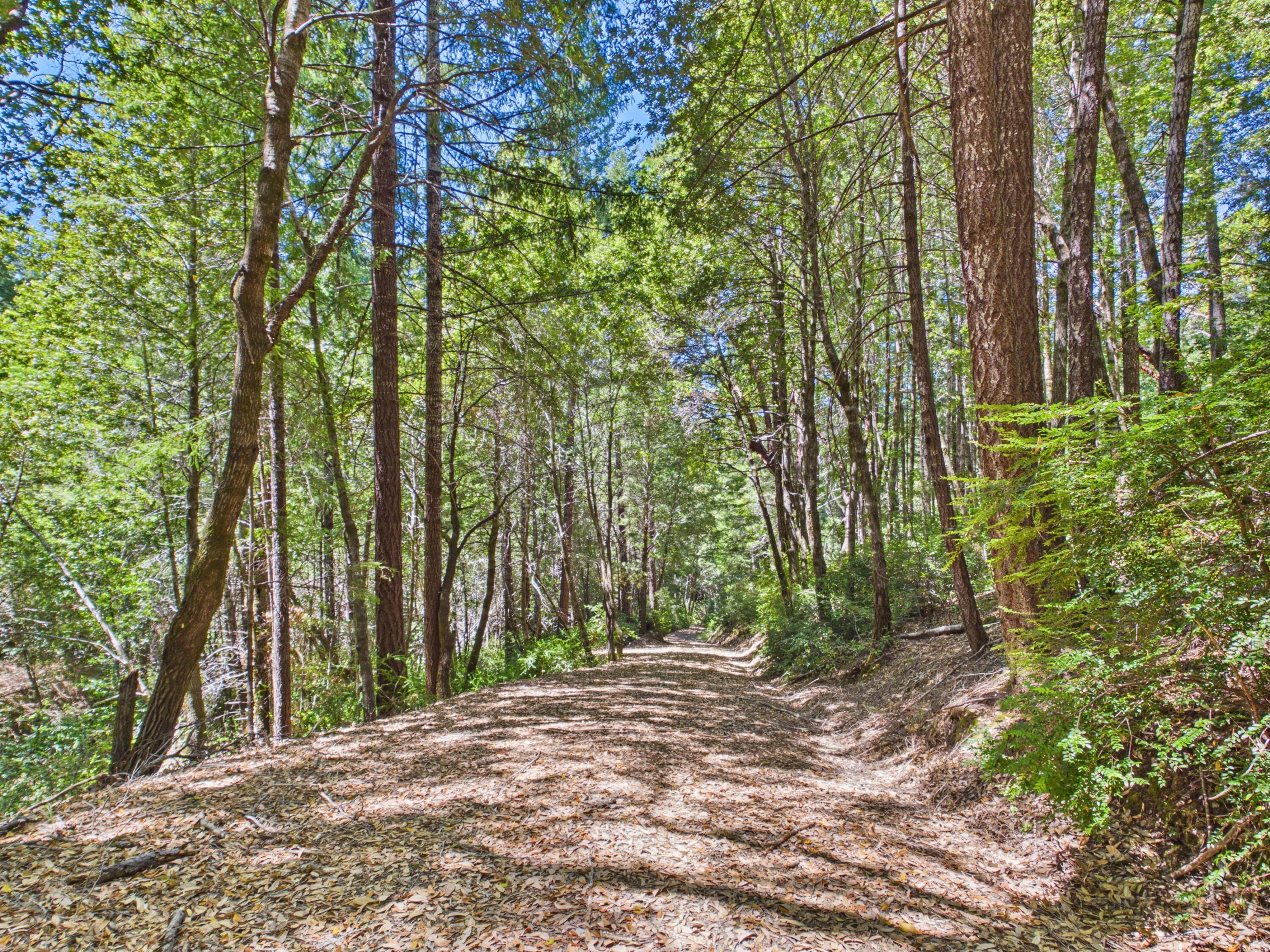 1055 Goodman Ranch Road Garberville, CA 95542 - Photo 43 of 63
