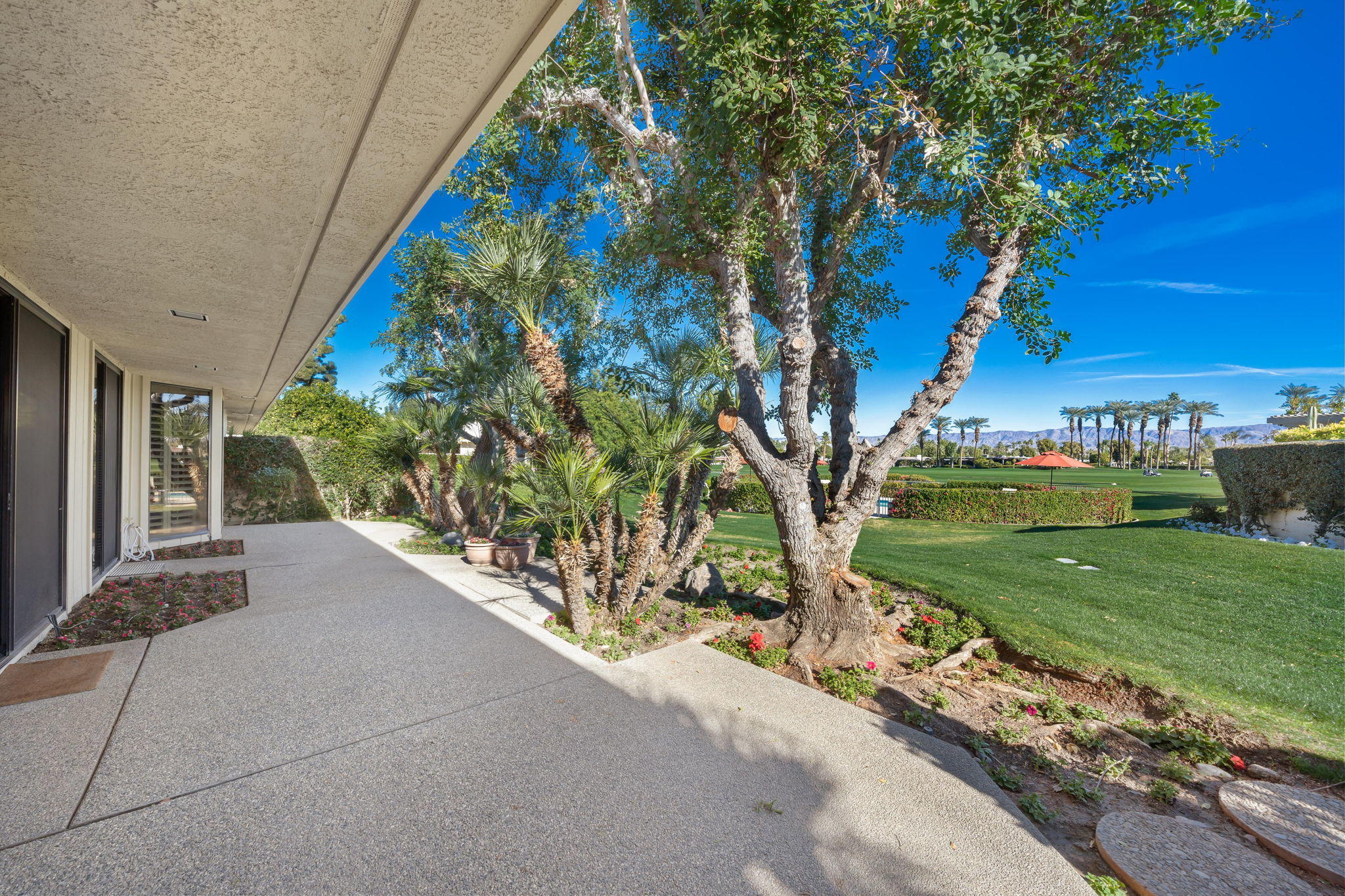 1 Hamlet Court Rancho Mirage, CA 92270 - Photo 14 of 41 a view of a garden with a tree