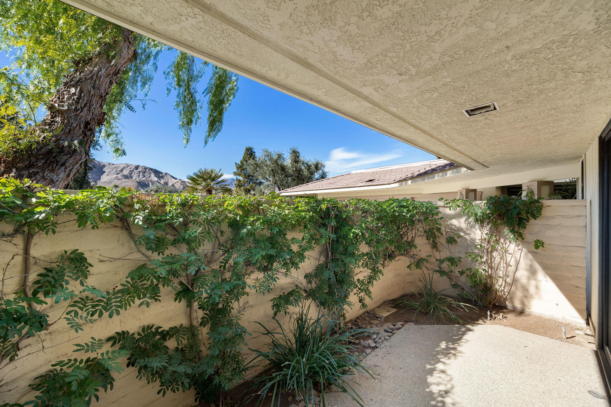 1 Hamlet Court Rancho Mirage, CA 92270 - Photo 41 of 41 a view of a yard