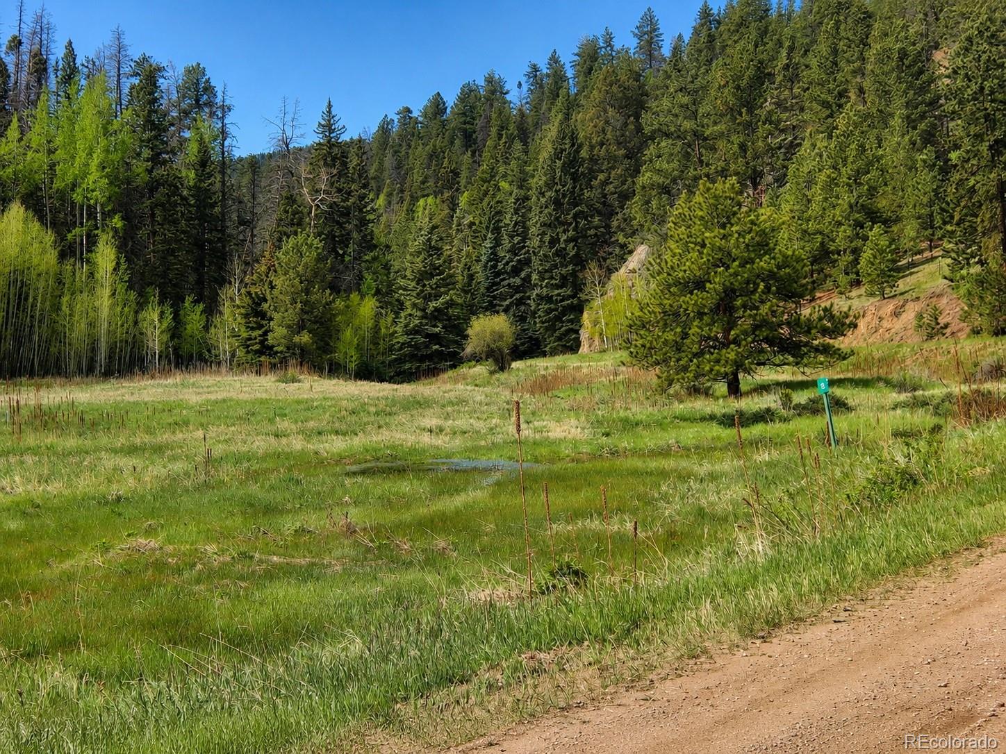 Lot 1 Co Road Westcliffe, CO 81252 - Photo 2 of 42
