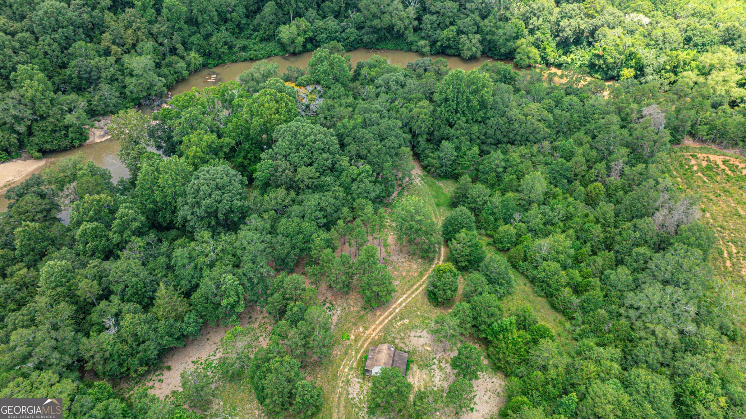 0 Wildcat Bridge Road Royston, GA 30662 - Photo 12 of 44