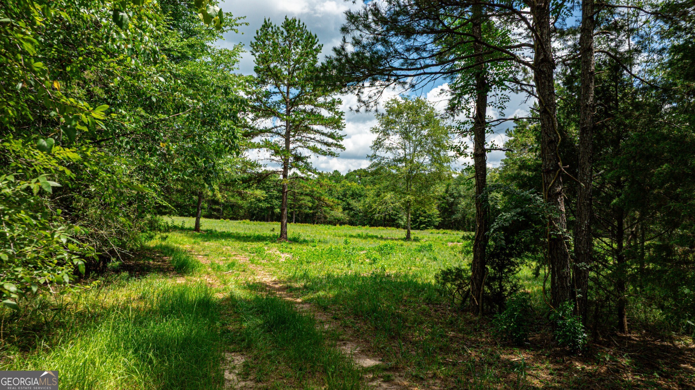 0 Wildcat Bridge Road Royston, GA 30662 - Photo 15 of 44