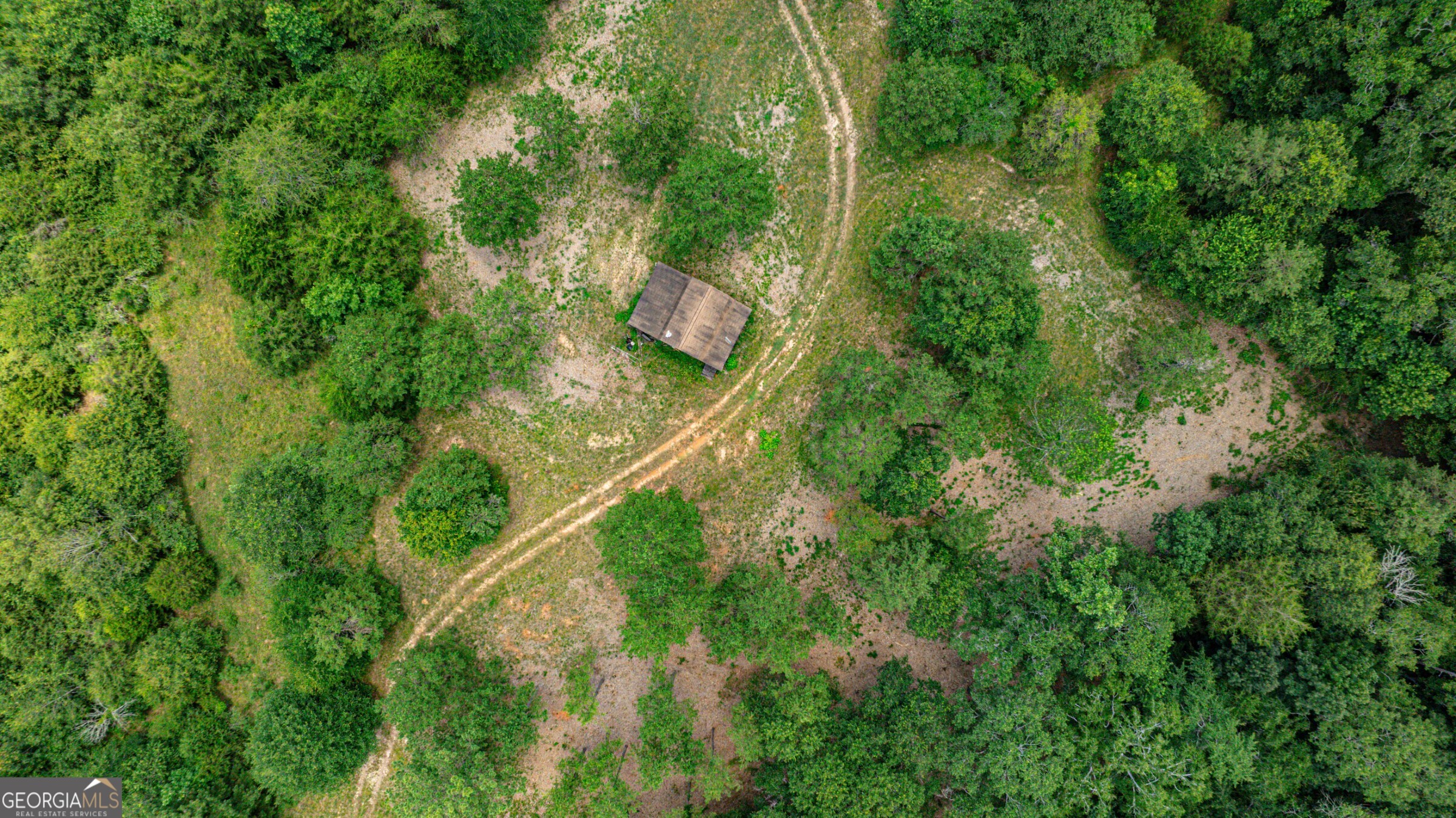 0 Wildcat Bridge Road Royston, GA 30662 - Photo 17 of 44