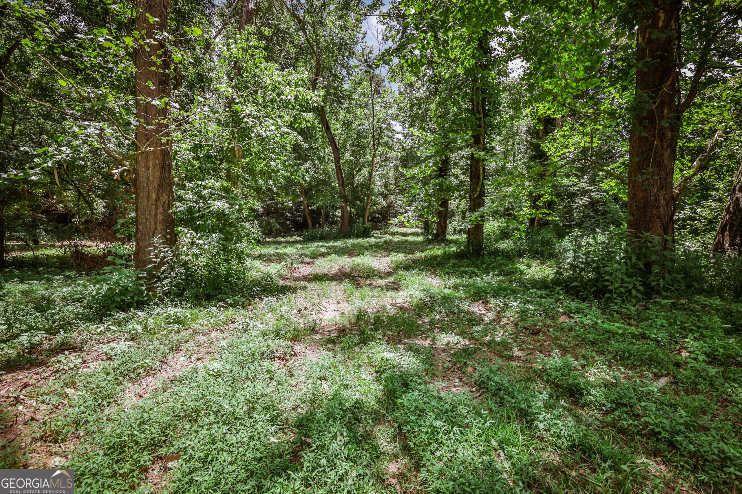 0 Wildcat Bridge Road Royston, GA 30662 - Photo 19 of 44