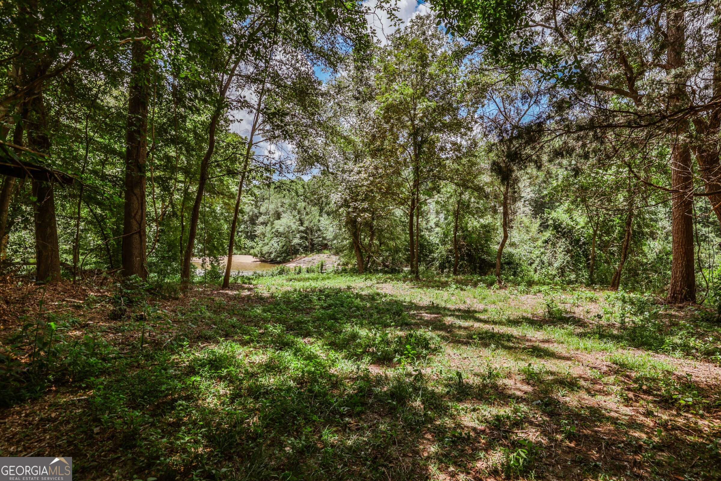 0 Wildcat Bridge Road Royston, GA 30662 - Photo 21 of 44