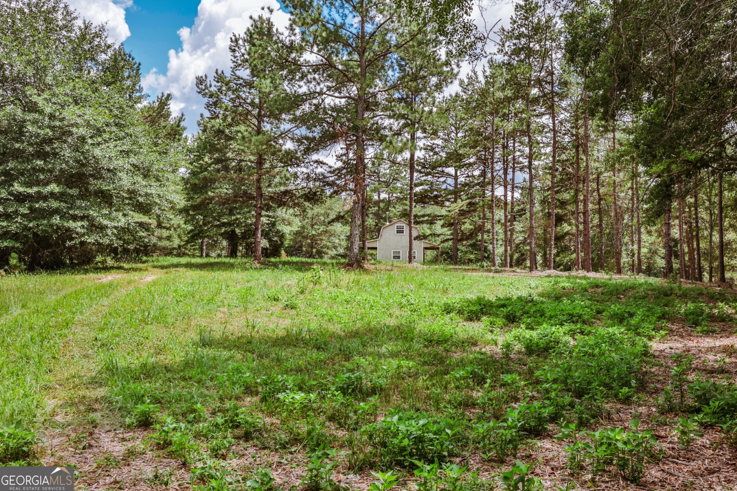 0 Wildcat Bridge Road Royston, GA 30662 - Photo 22 of 44