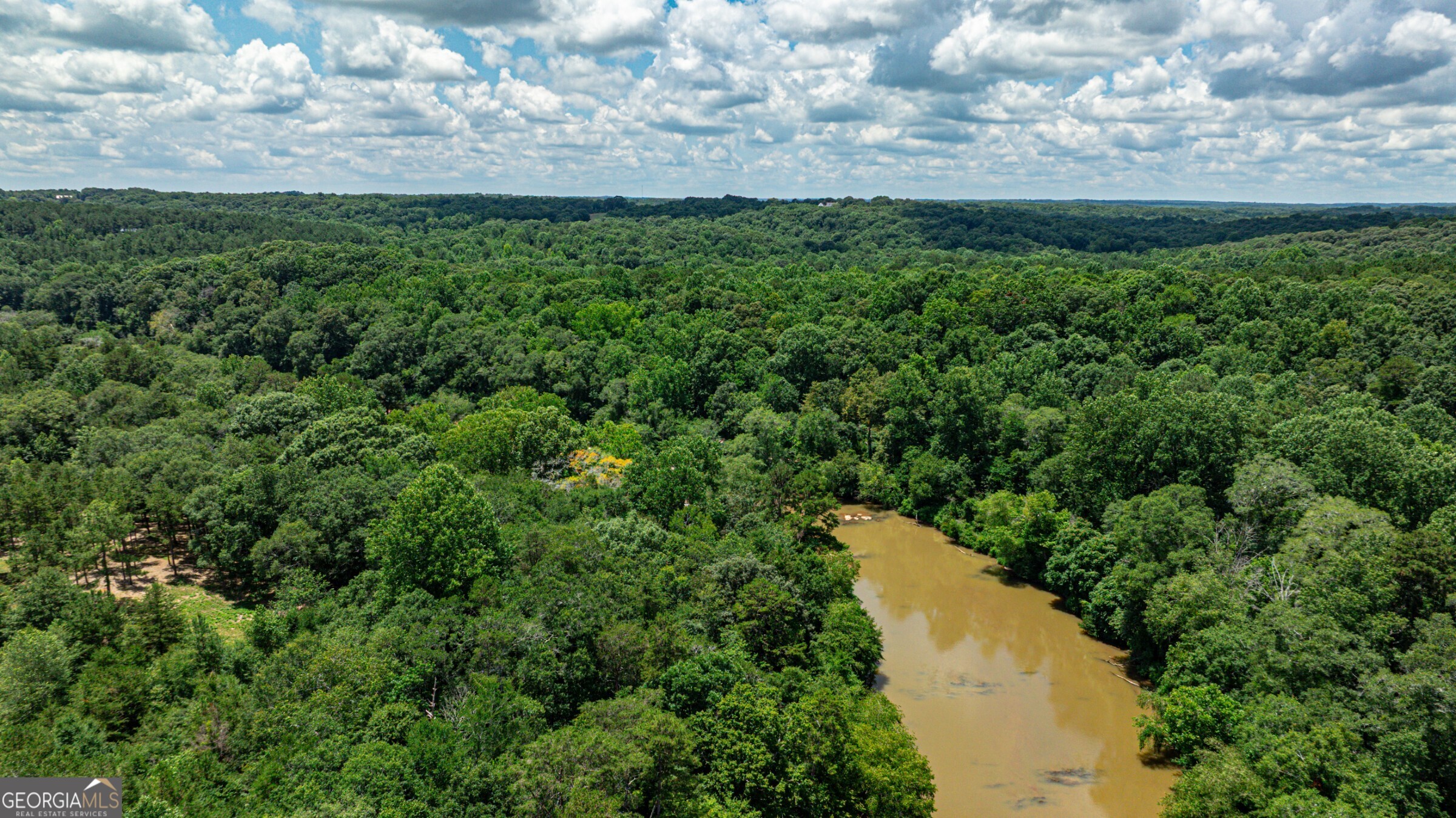 0 Wildcat Bridge Road Royston, GA 30662 - Photo 29 of 44