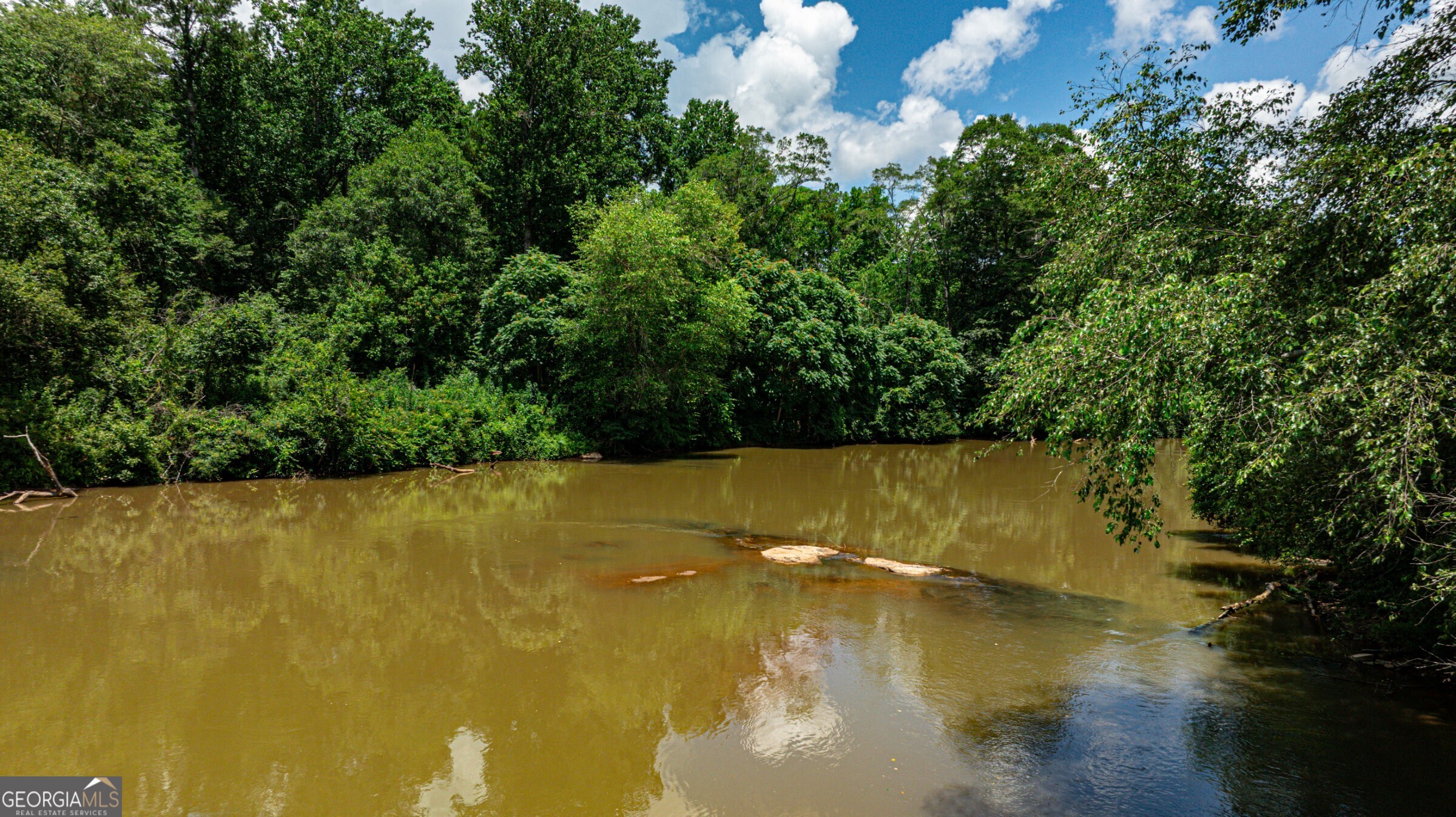0 Wildcat Bridge Road Royston, GA 30662 - Photo 3 of 44