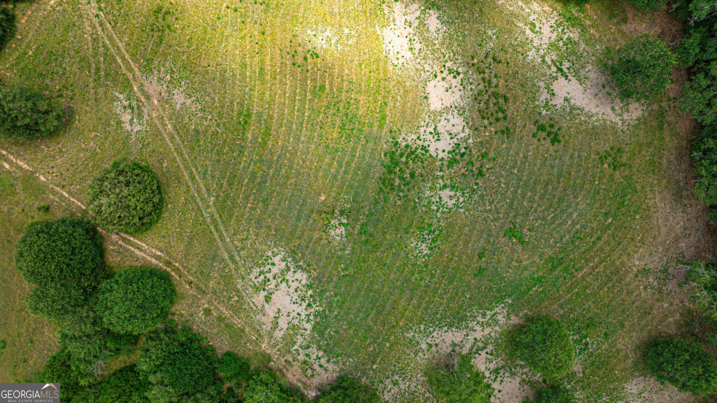 0 Wildcat Bridge Road Royston, GA 30662 - Photo 37 of 44