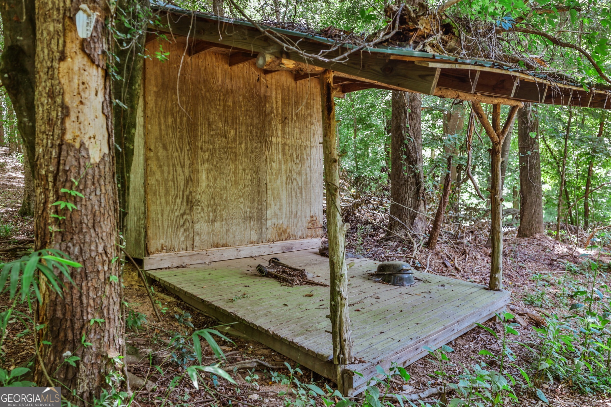 0 Wildcat Bridge Road Royston, GA 30662 - Photo 39 of 44