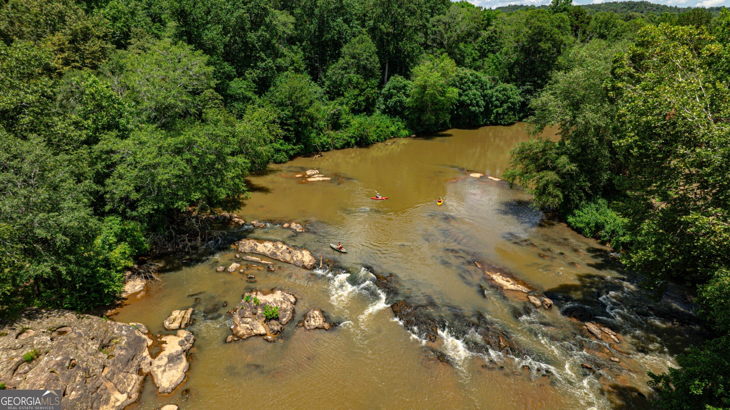 0 Wildcat Bridge Road Royston, GA 30662 - Photo 4 of 44