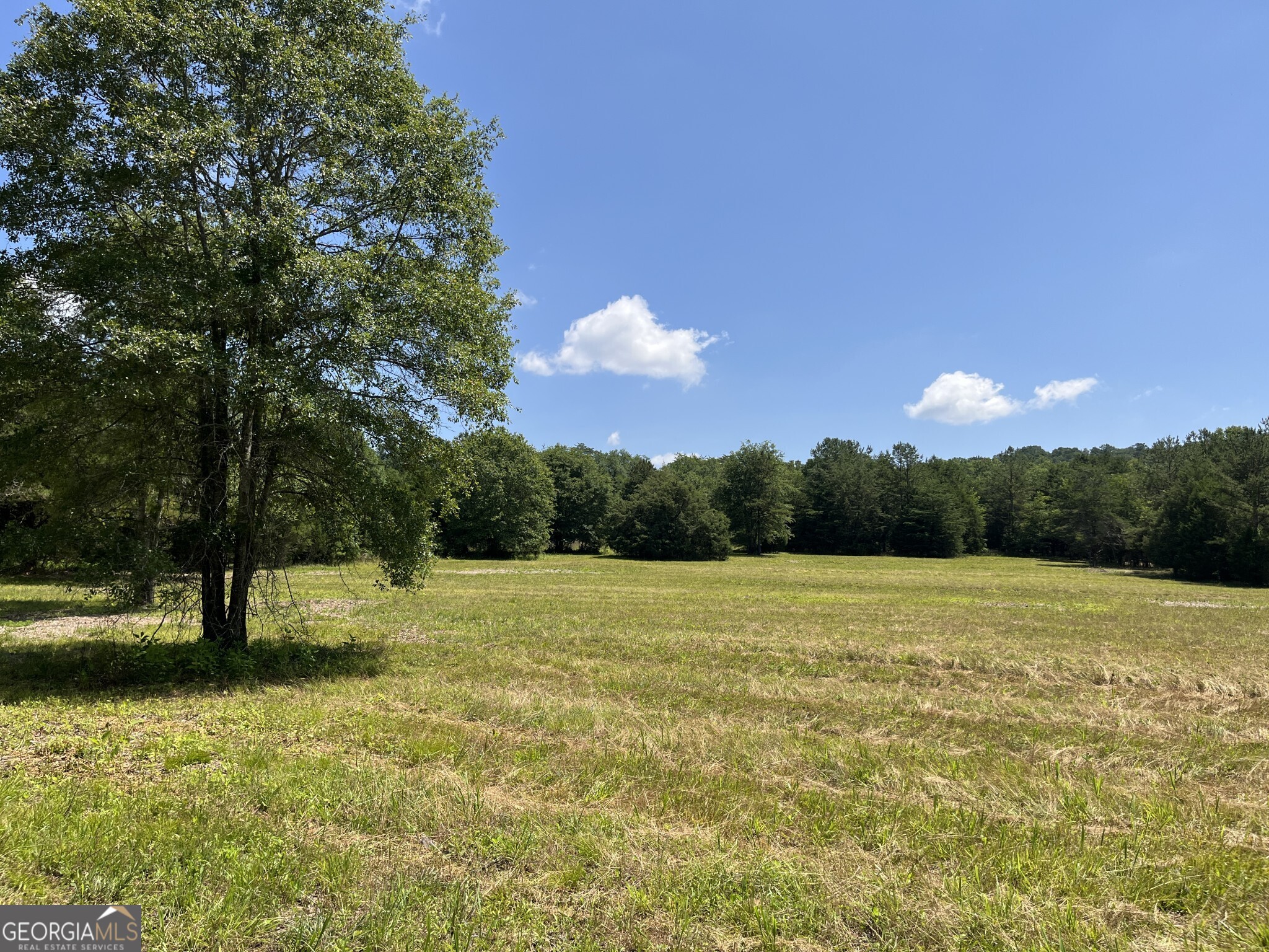 0 Wildcat Bridge Road Royston, GA 30662 - Photo 41 of 44