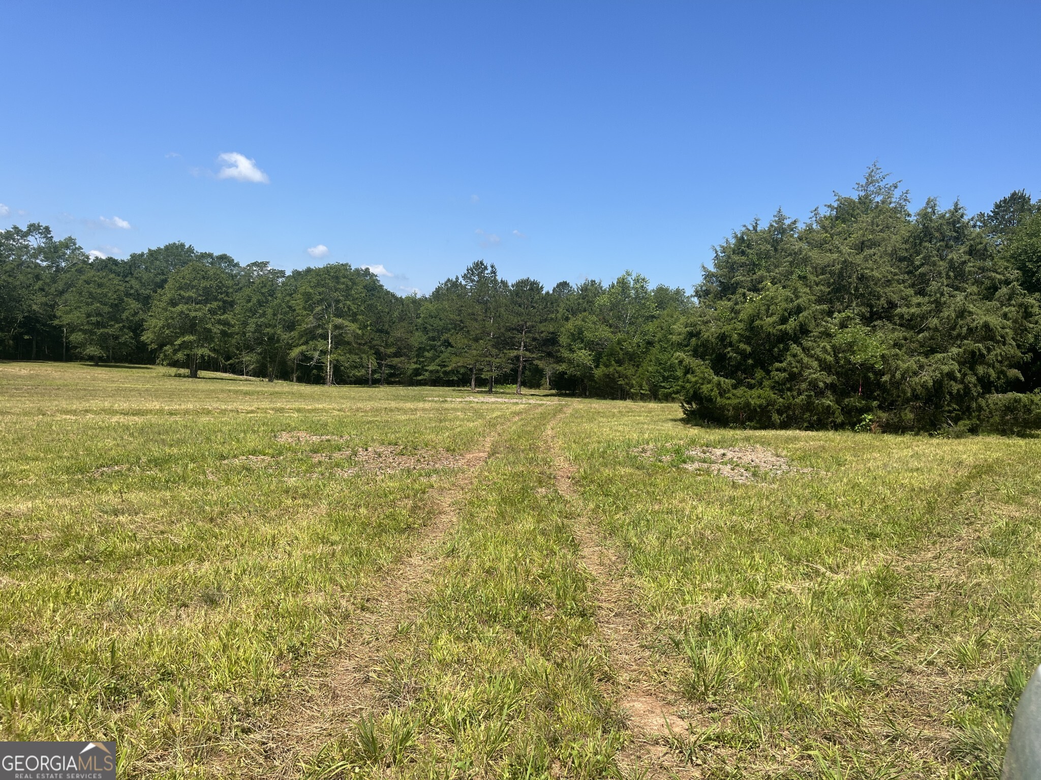 0 Wildcat Bridge Road Royston, GA 30662 - Photo 44 of 44