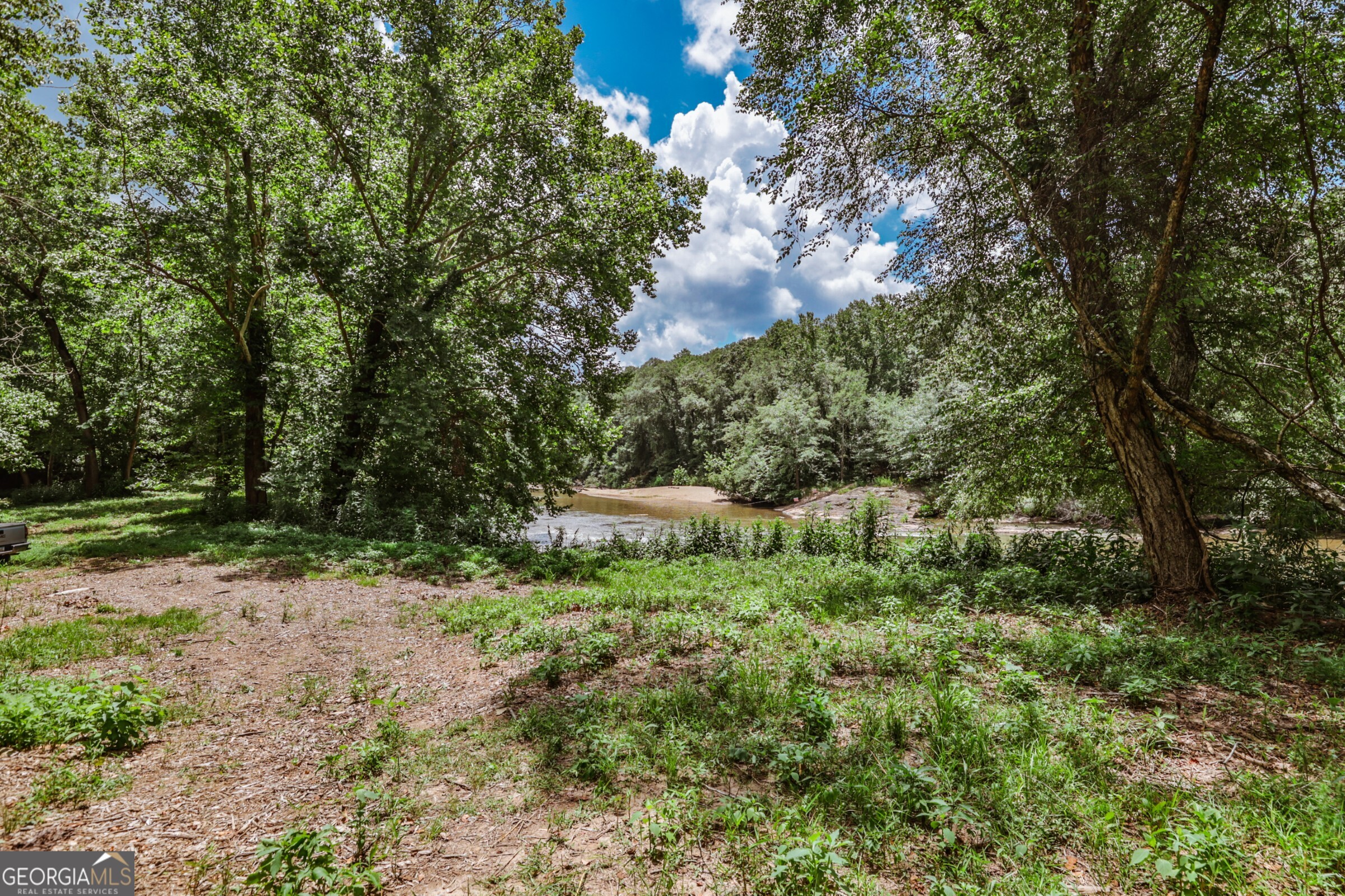 0 Wildcat Bridge Road Royston, GA 30662 - Photo 7 of 44