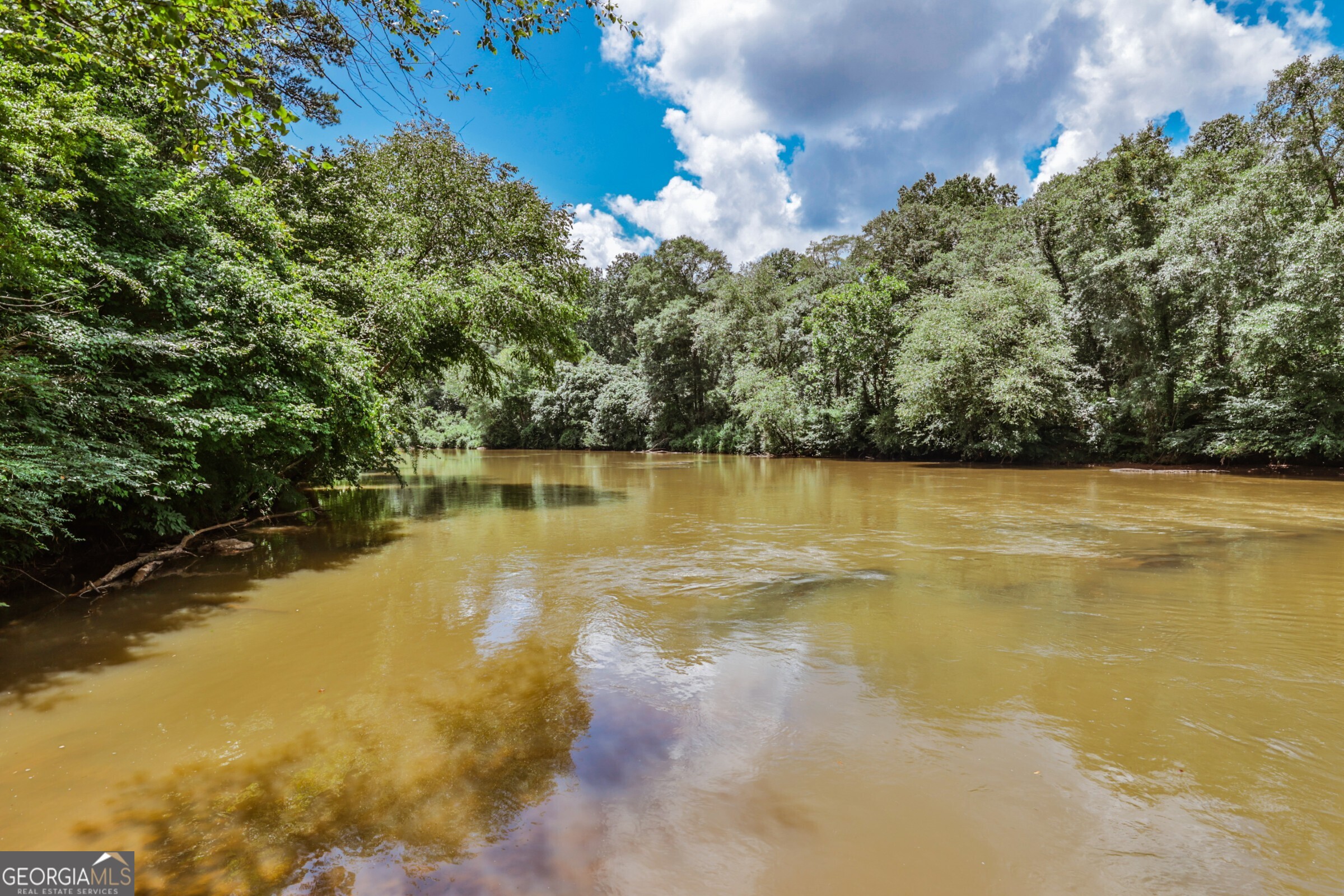 0 Wildcat Bridge Road Royston, GA 30662 - Photo 8 of 44