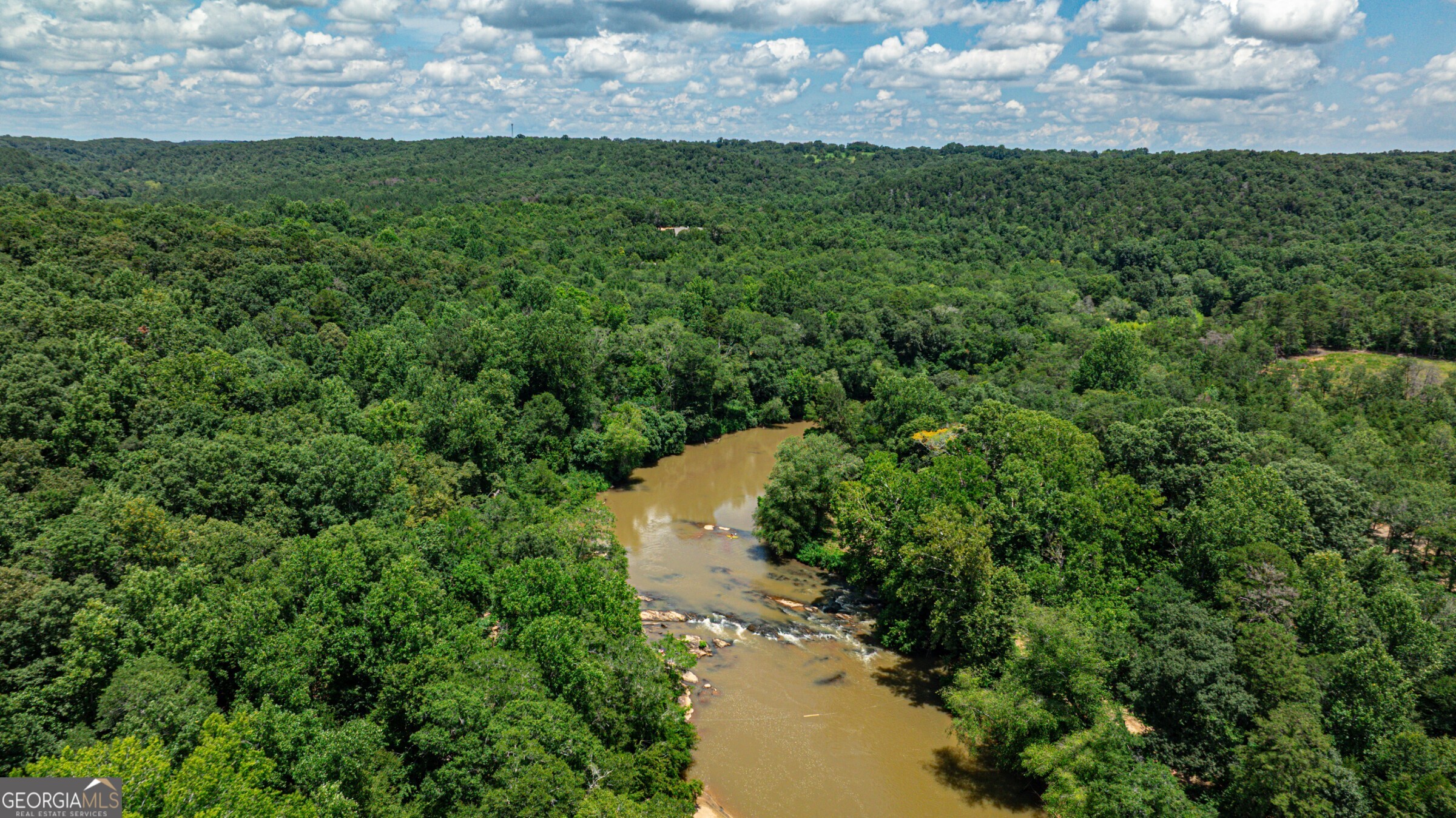 0 Wildcat Bridge Road Royston, GA 30662 - Photo 10 of 44